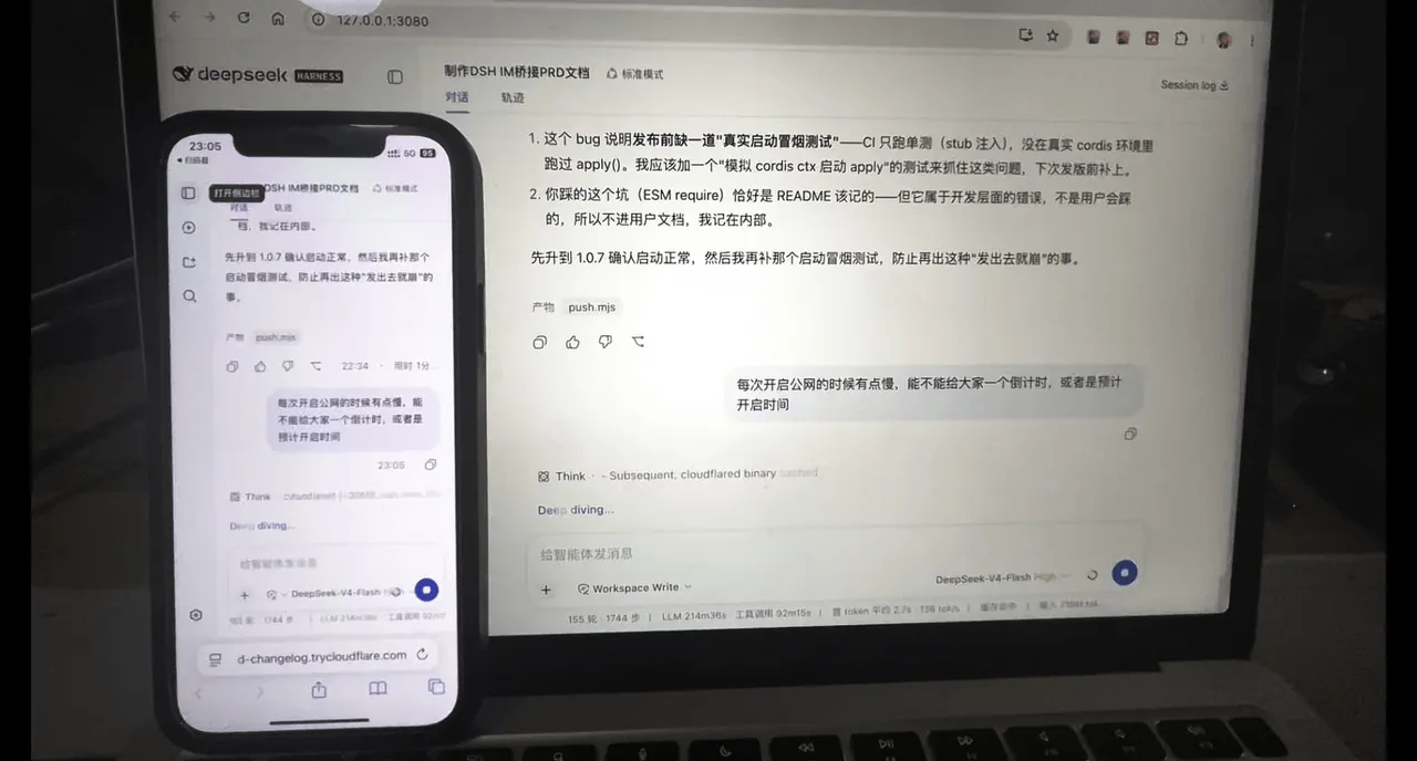 手机上的 DSH 界面