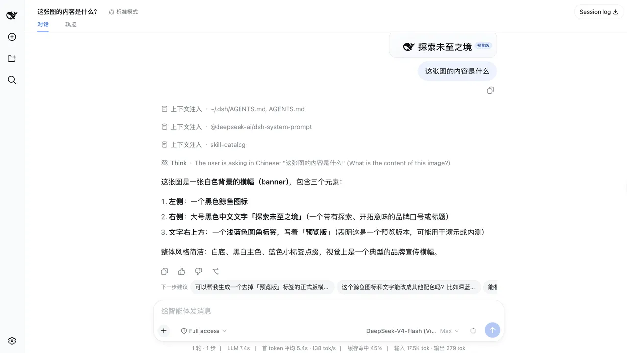 A text-only DeepSeek model answering a question about a pasted image through Vision Toolkit in DSH Web