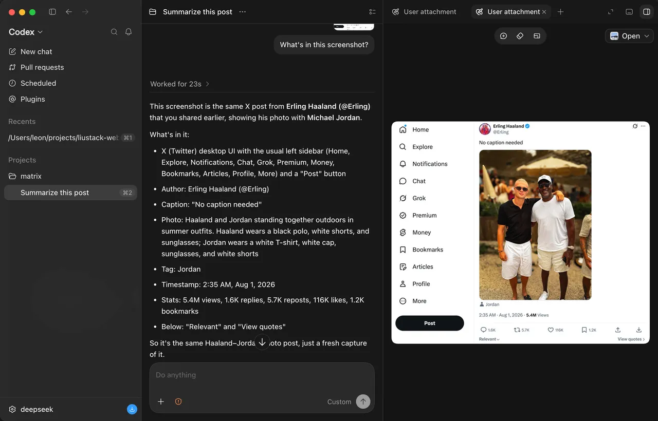 Text-only DeepSeek reading a tweet screenshot in full detail via ModLens